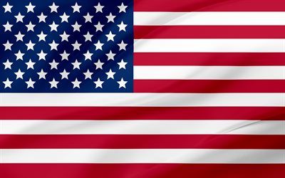 Pixel American Flag